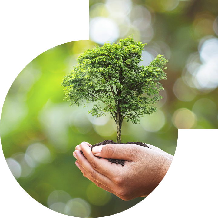 關懷人類、文化、環境與社會